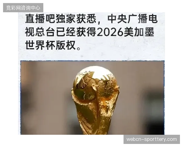 数字资产所有权与实名制观赛要求在世界杯版权分销中存在脱节